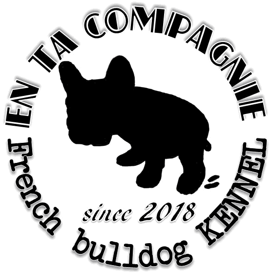 �A���^�R���p�j�[