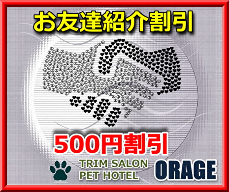 �I���[�W�� �F�B�Љ�