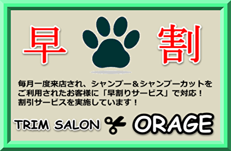 ORAGE ������