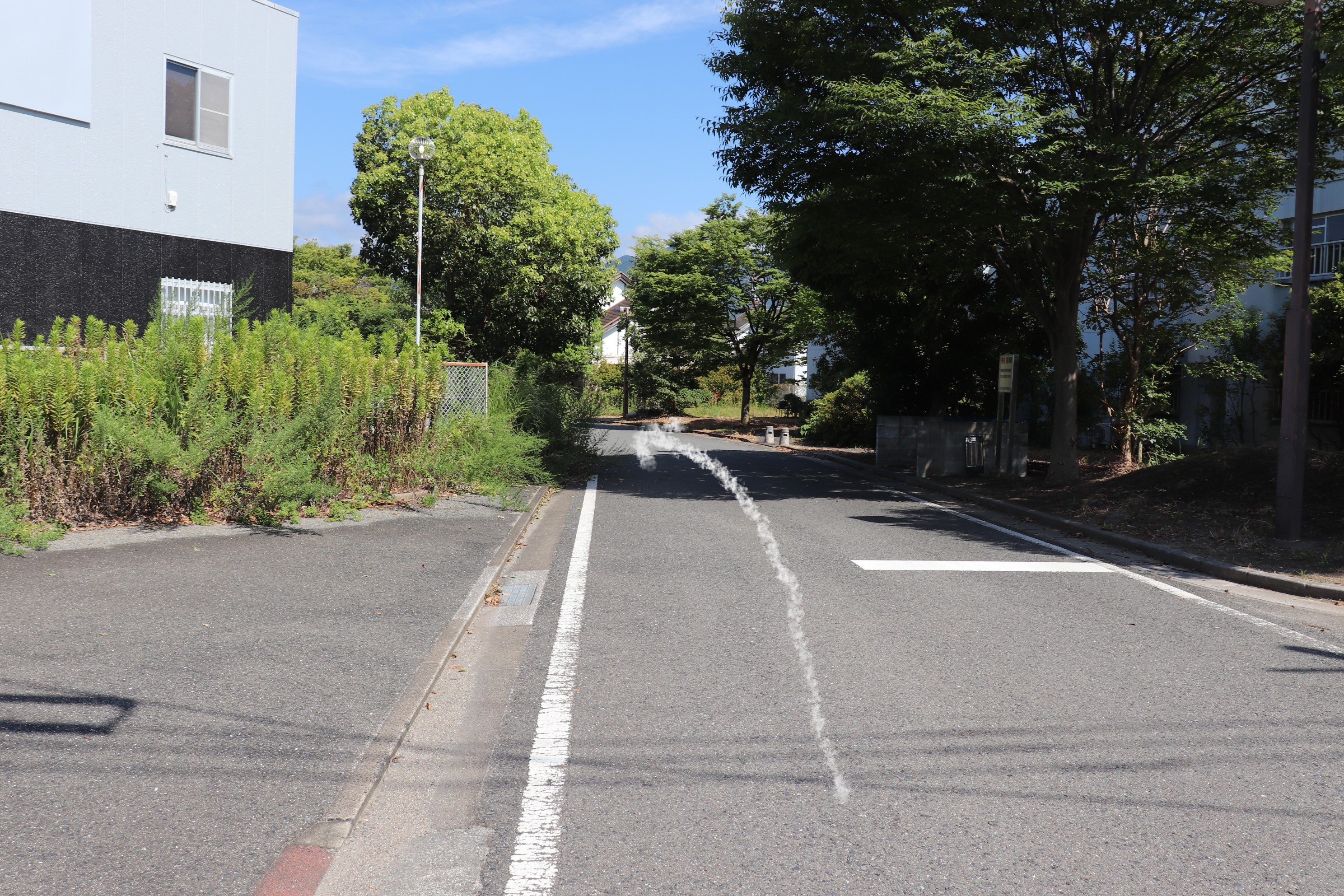 �I���[�W�� �R���^�N�g