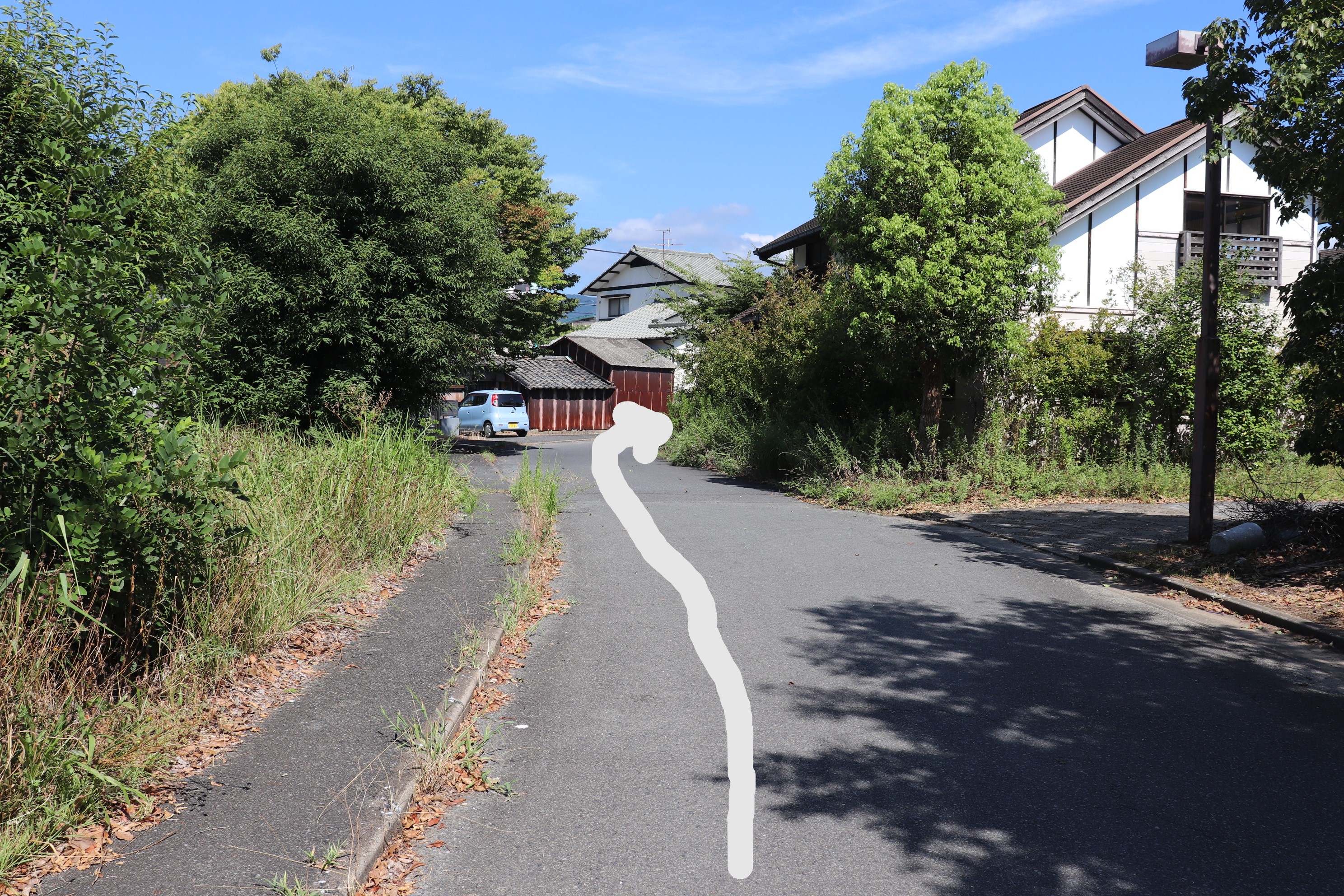 �I���[�W�� �R���^�N�g