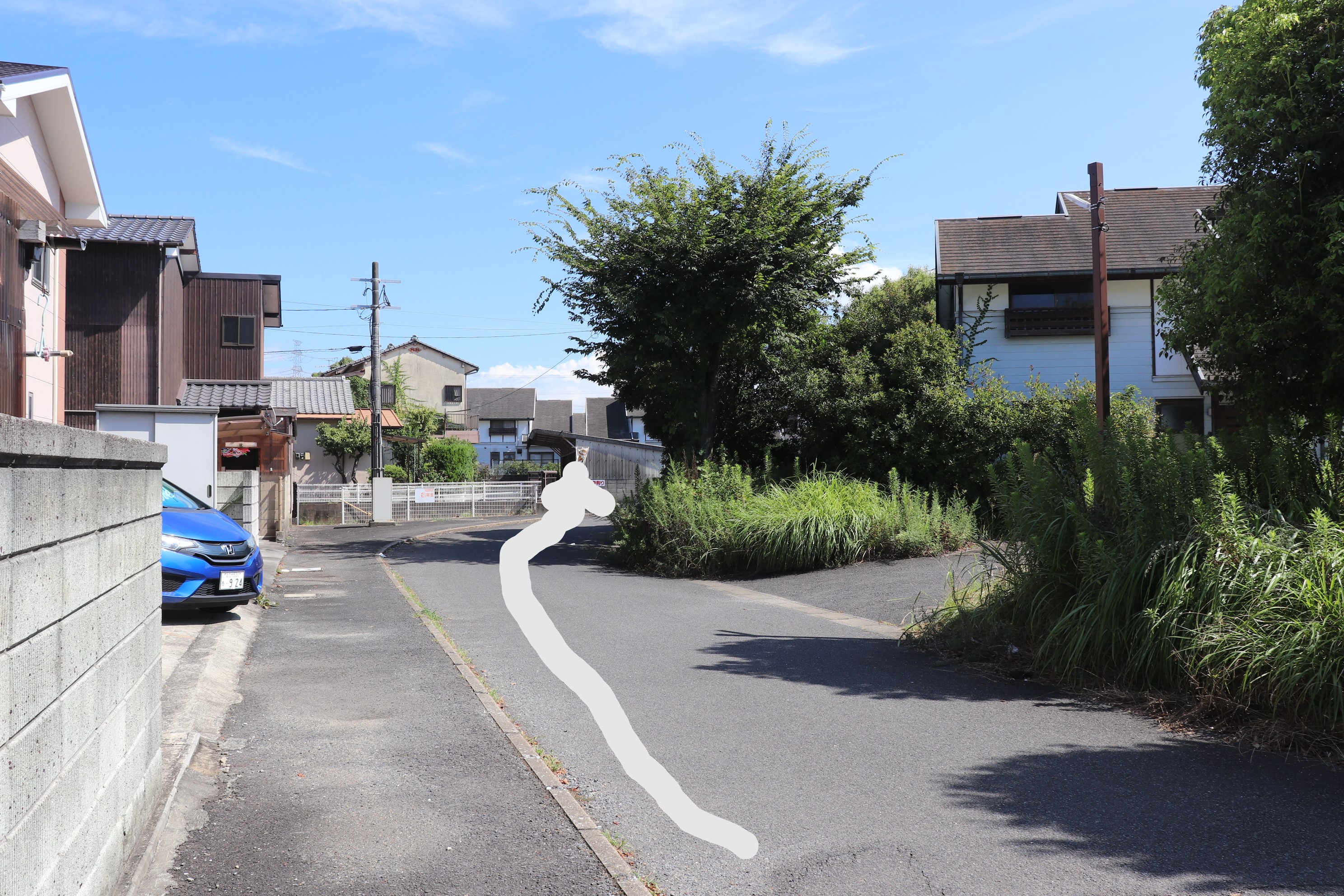 �I���[�W�� �R���^�N�g