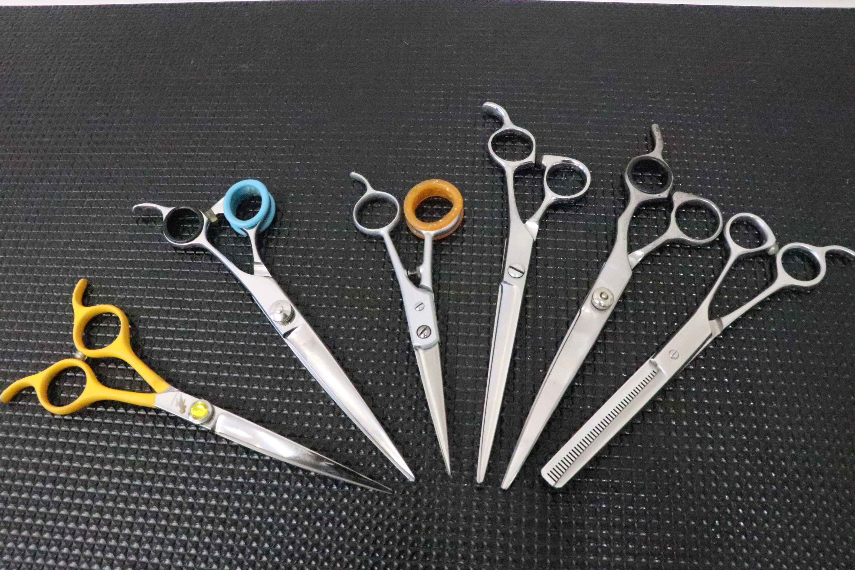 �g���~���O�T���� ��������