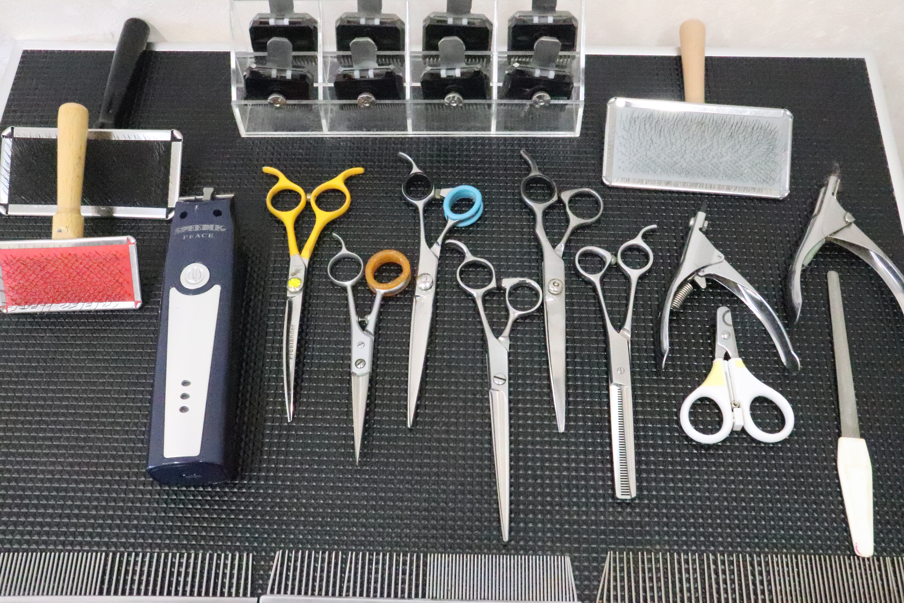 �g���~���O�T���� ��������