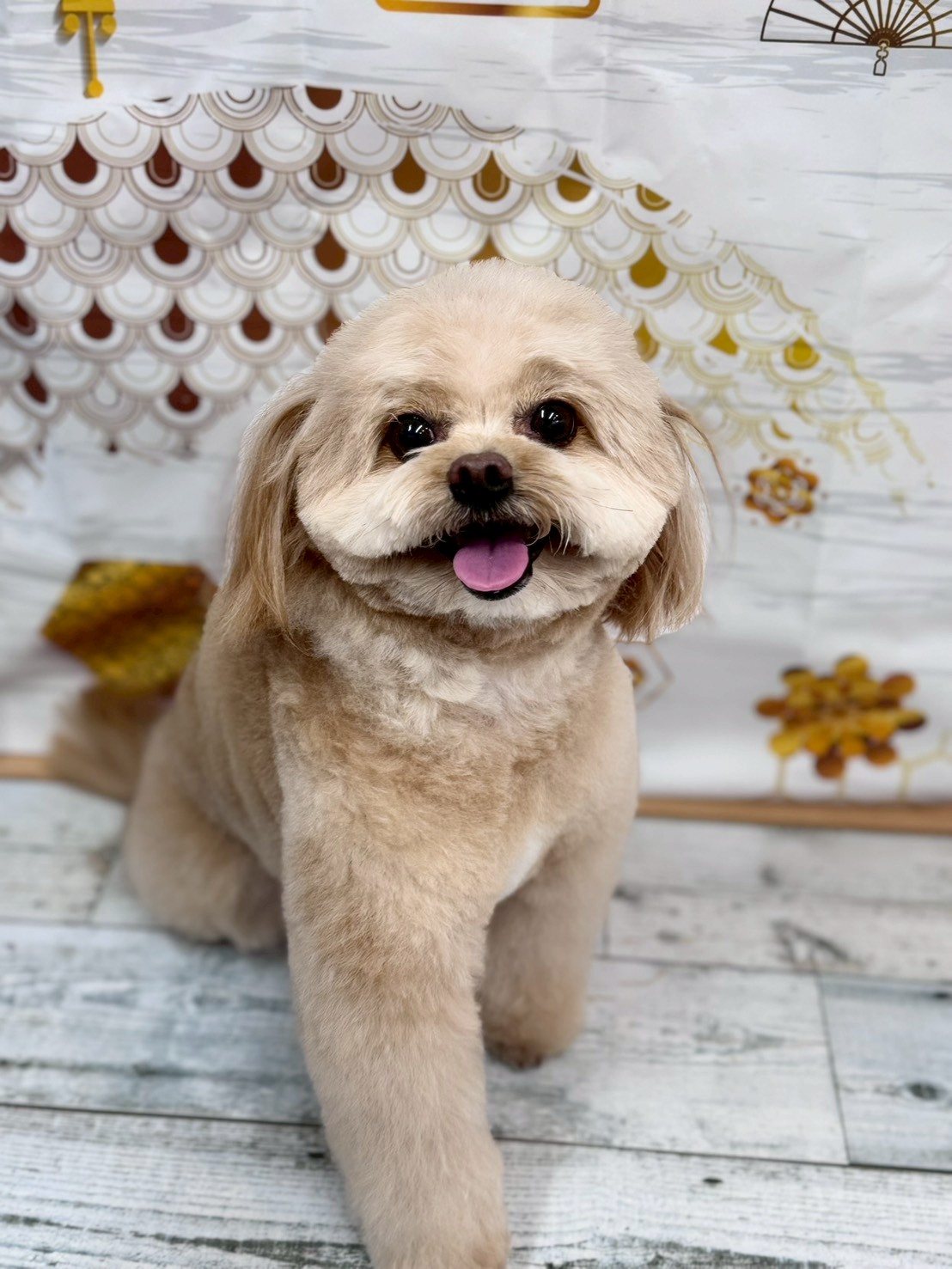 �I���[�W�� �挎�̂��q�l