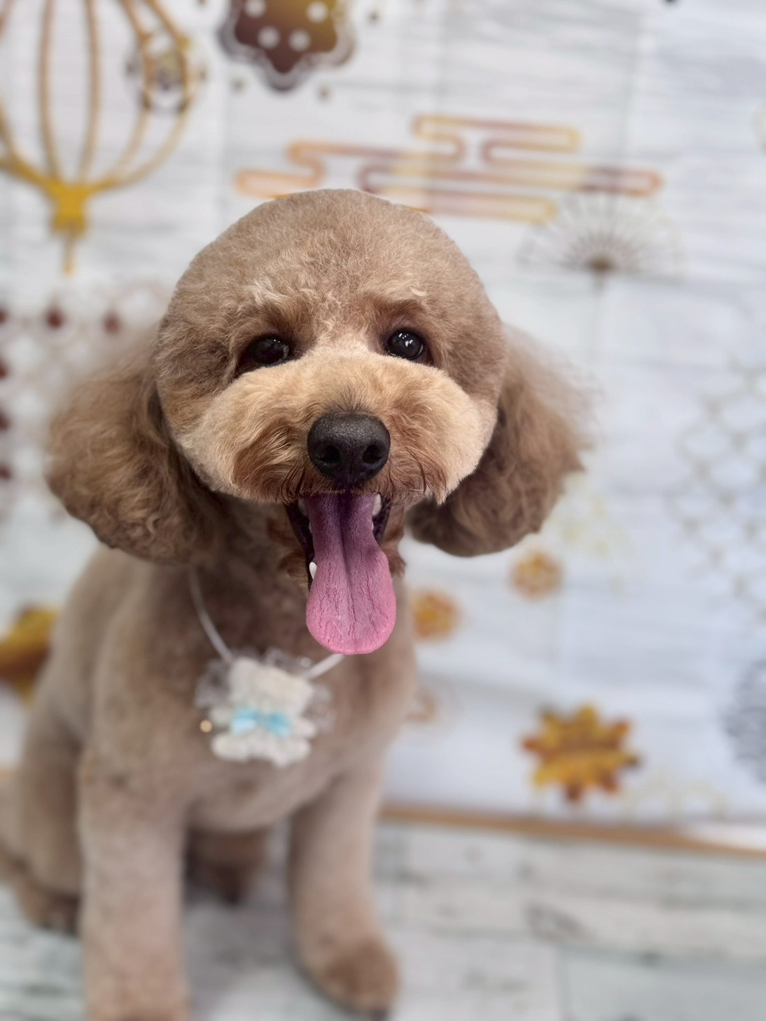 �I���[�W�� �挎�̂��q�l