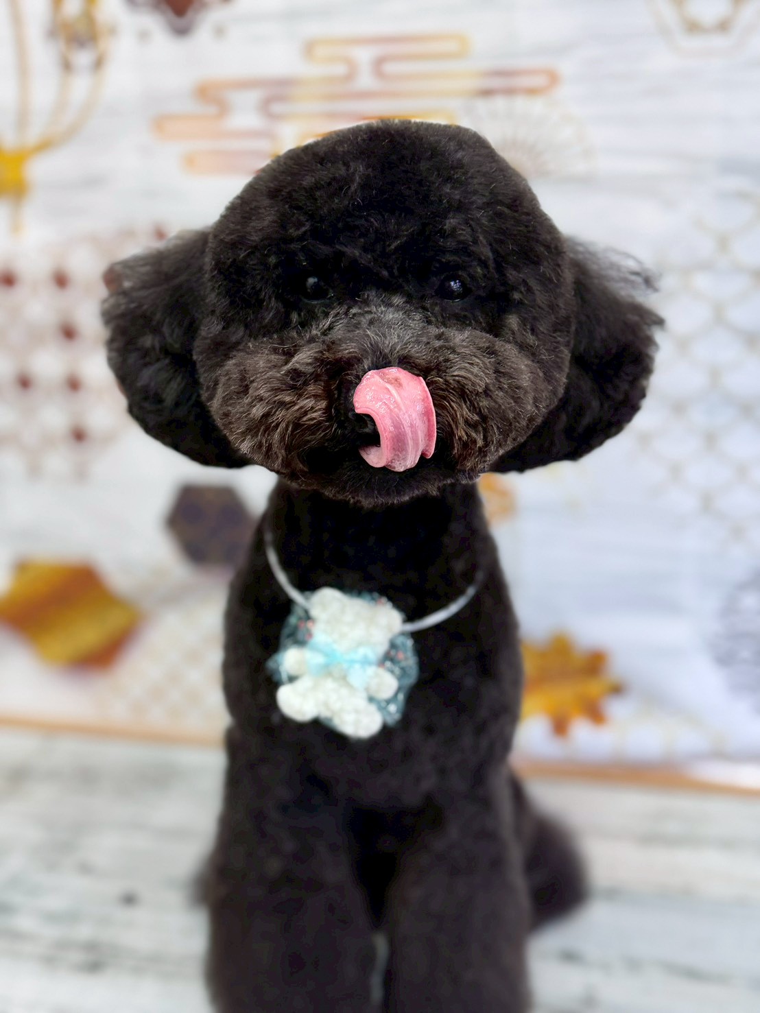 �I���[�W�� �挎�̂��q�l