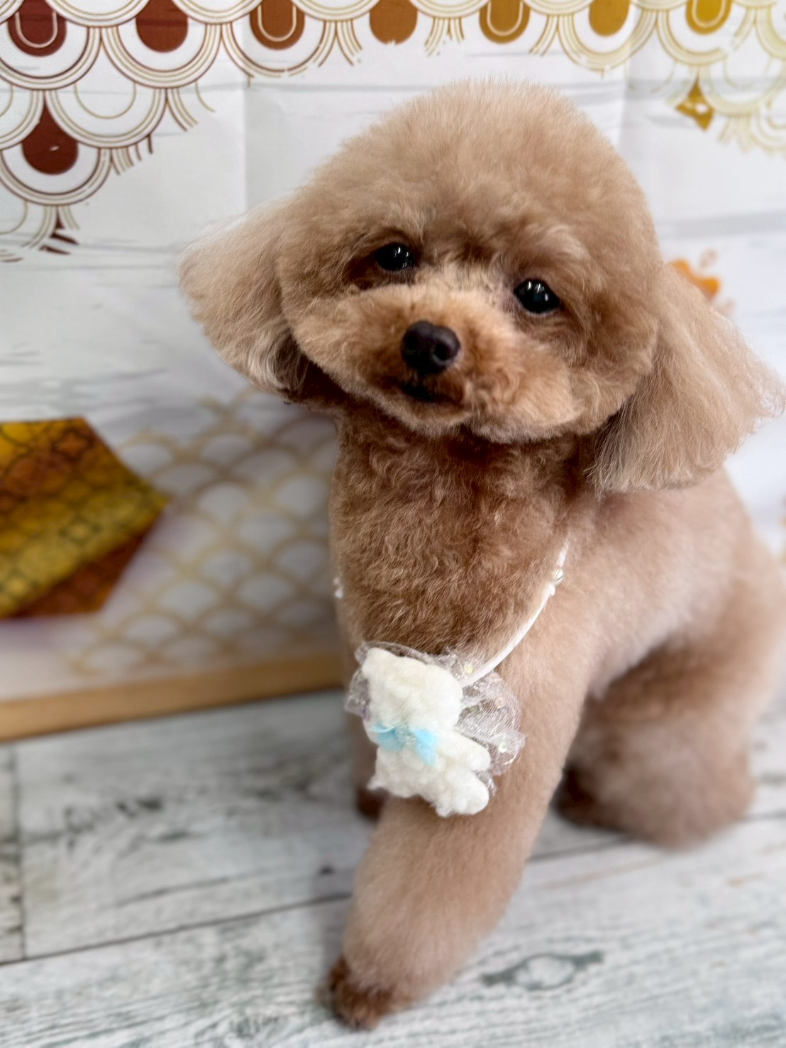 �I���[�W�� �挎�̂��q�l