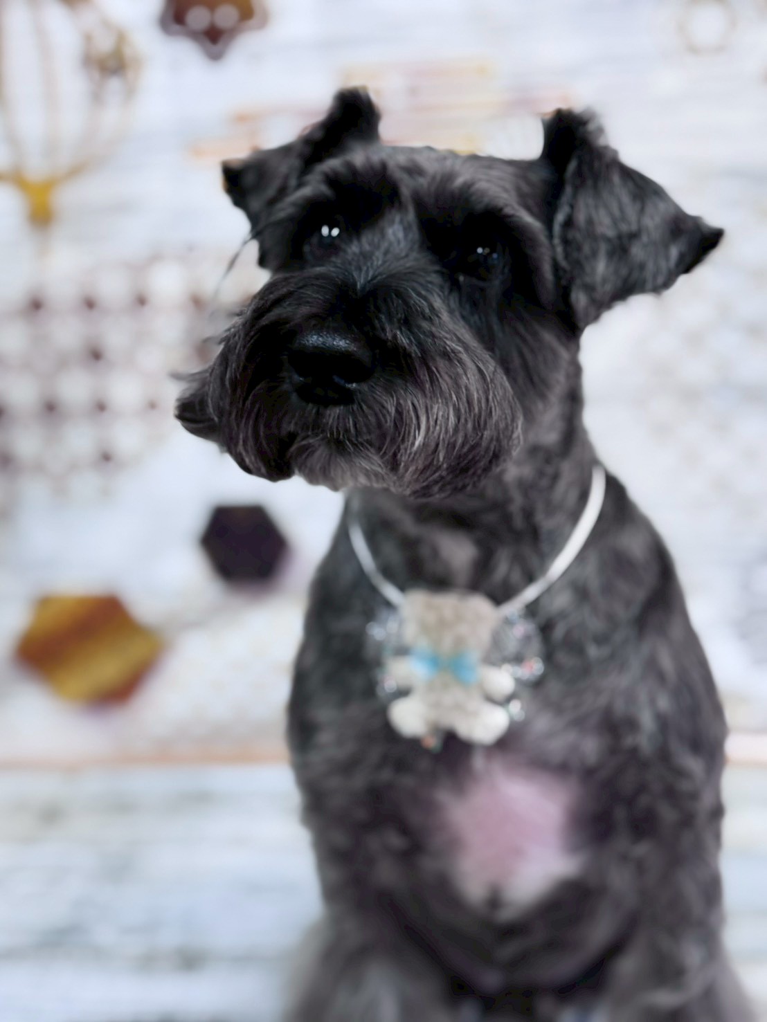 �I���[�W�� �挎�̂��q�l