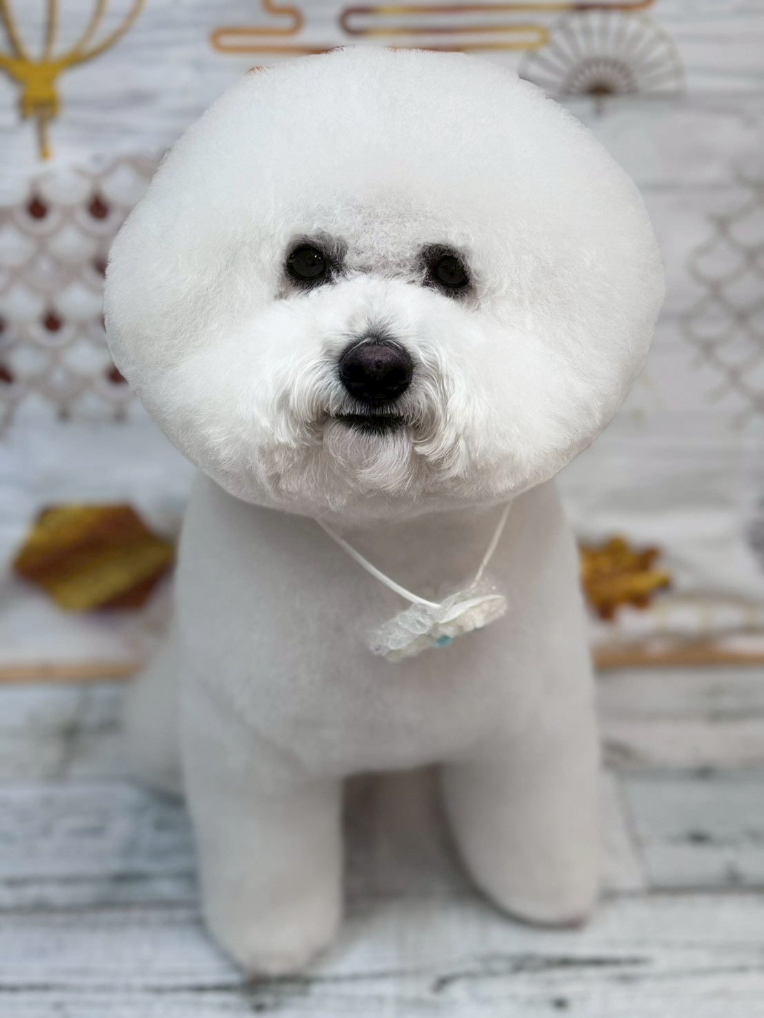 �I���[�W�� �挎�̂��q�l