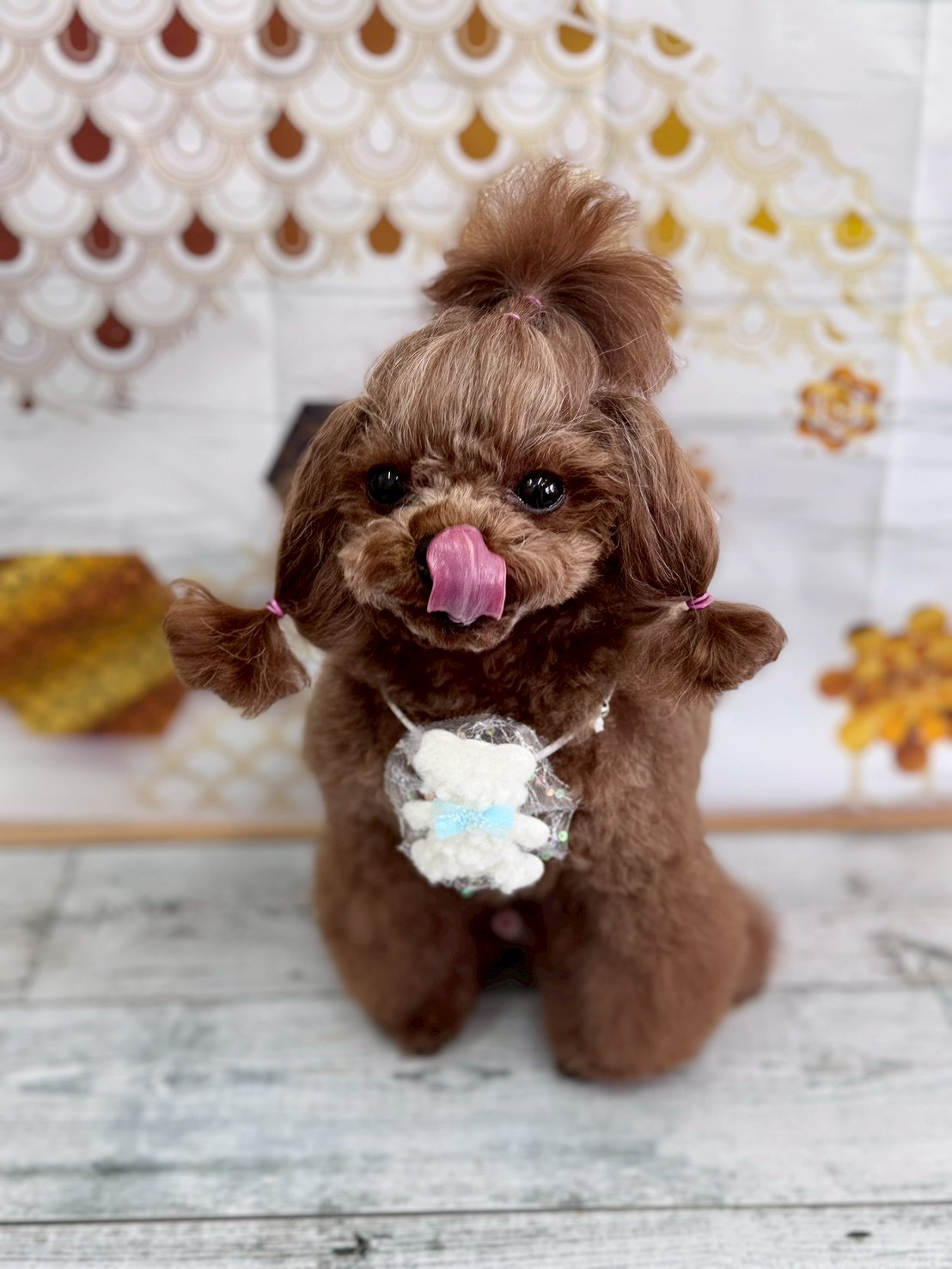 �I���[�W�� �挎�̂��q�l