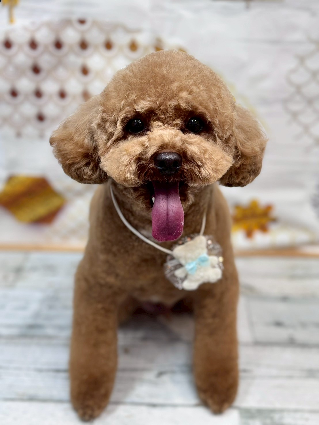 �I���[�W�� �挎�̂��q�l