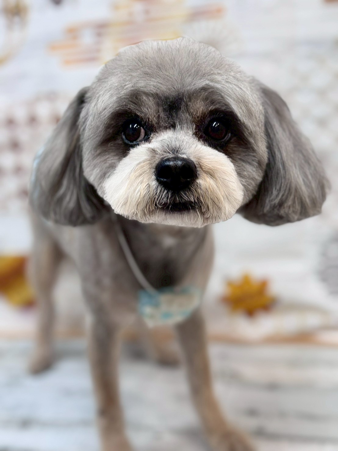 �I���[�W�� �挎�̂��q�l