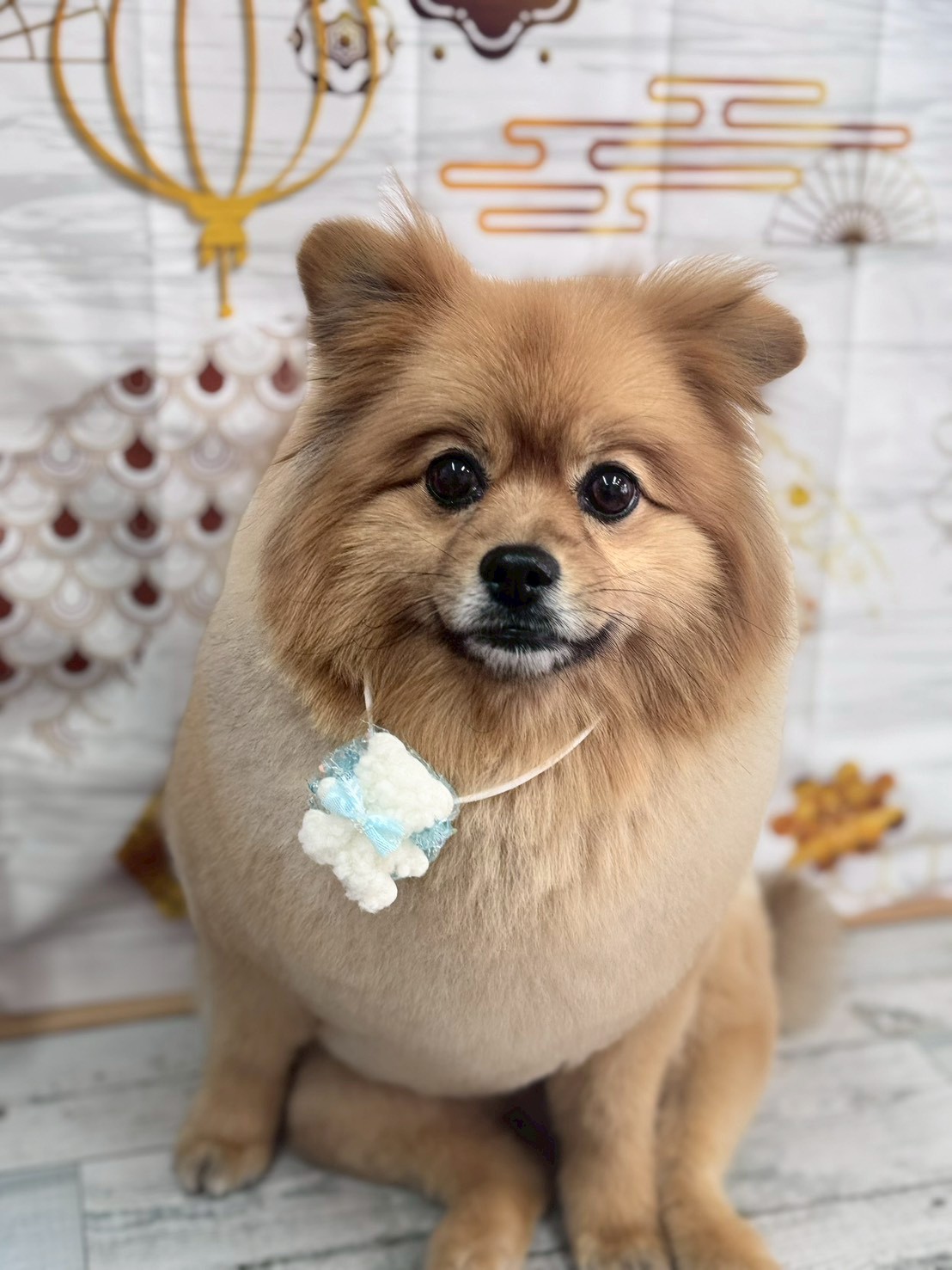 �I���[�W�� �挎�̂��q�l