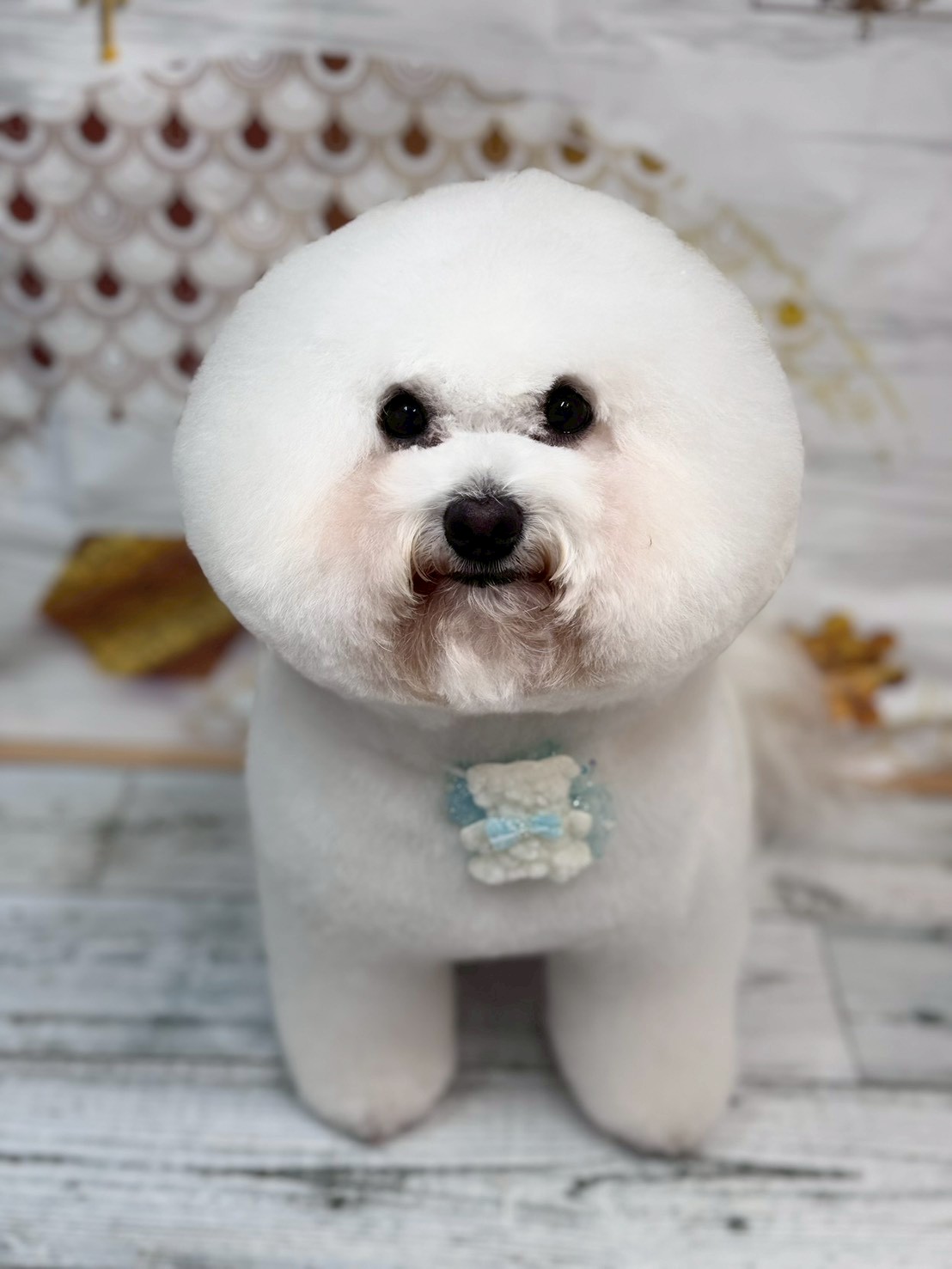 �I���[�W�� �挎�̂��q�l