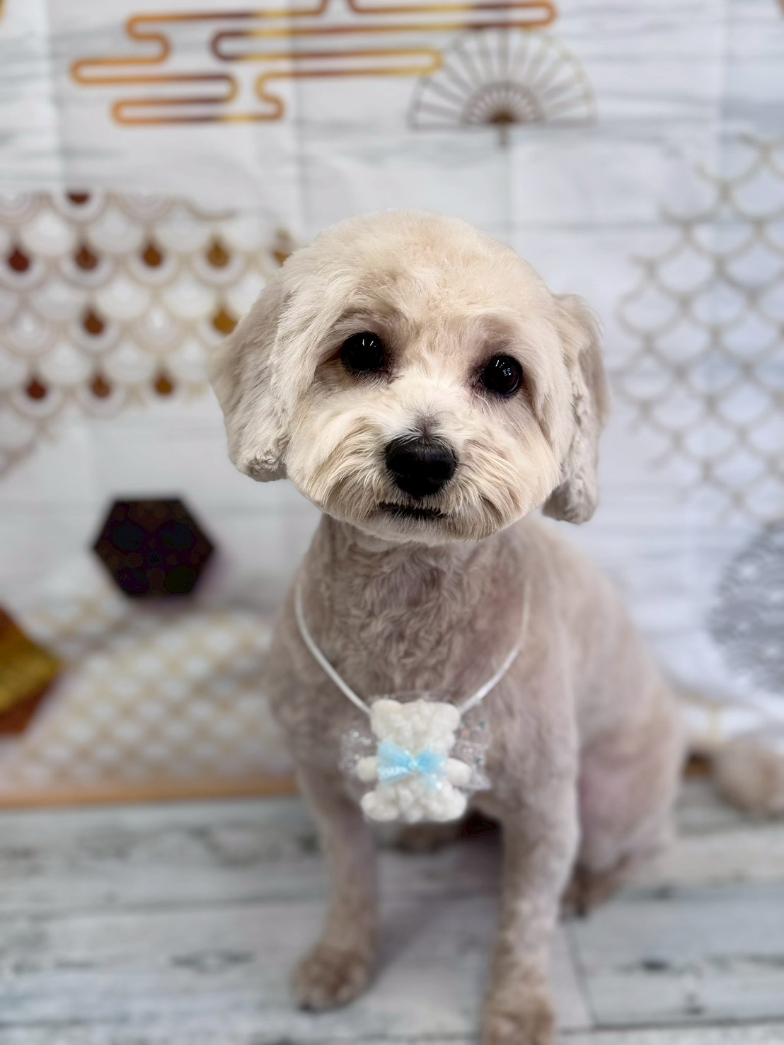 �I���[�W�� �挎�̂��q�l