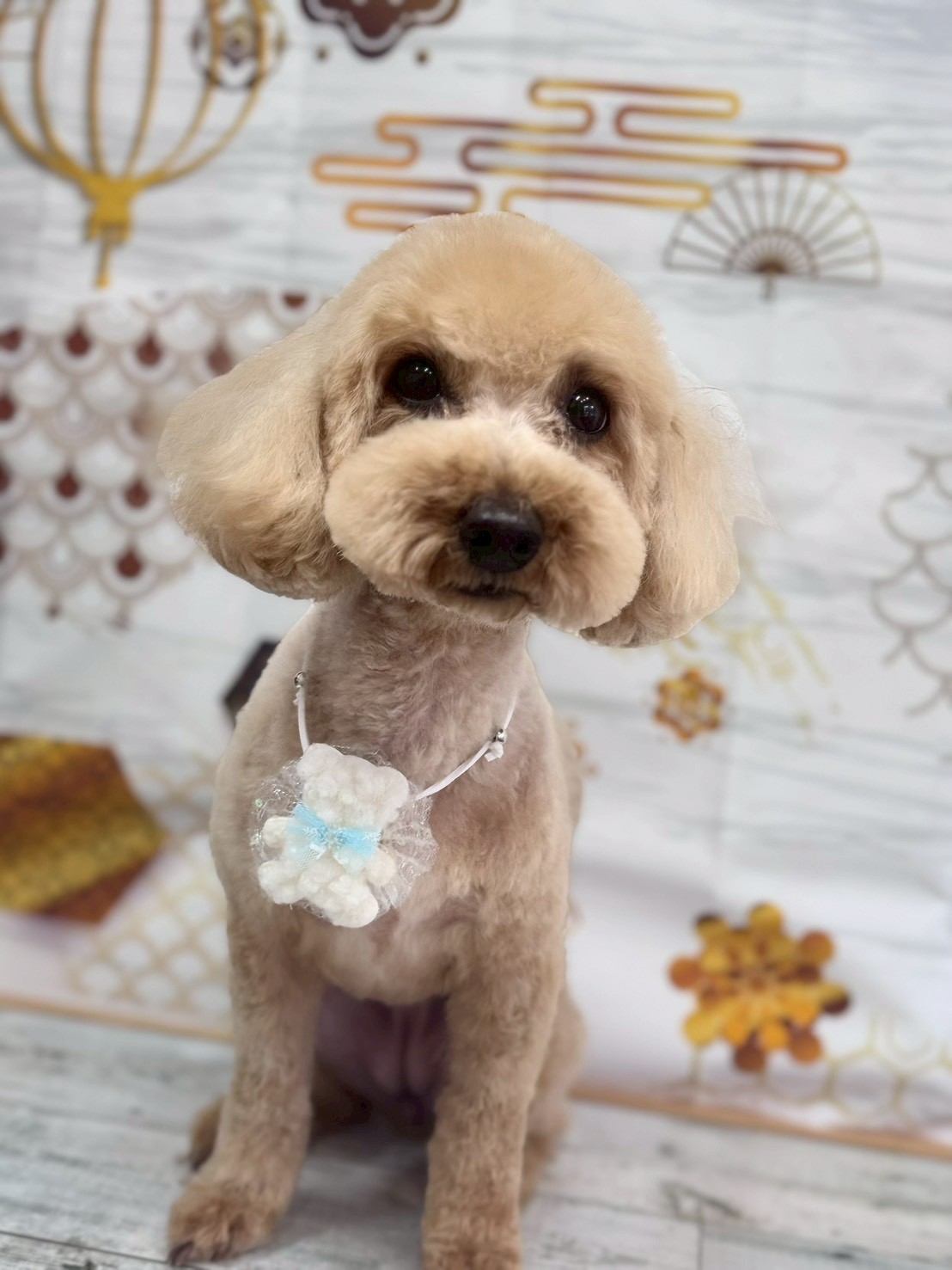 �I���[�W�� �挎�̂��q�l