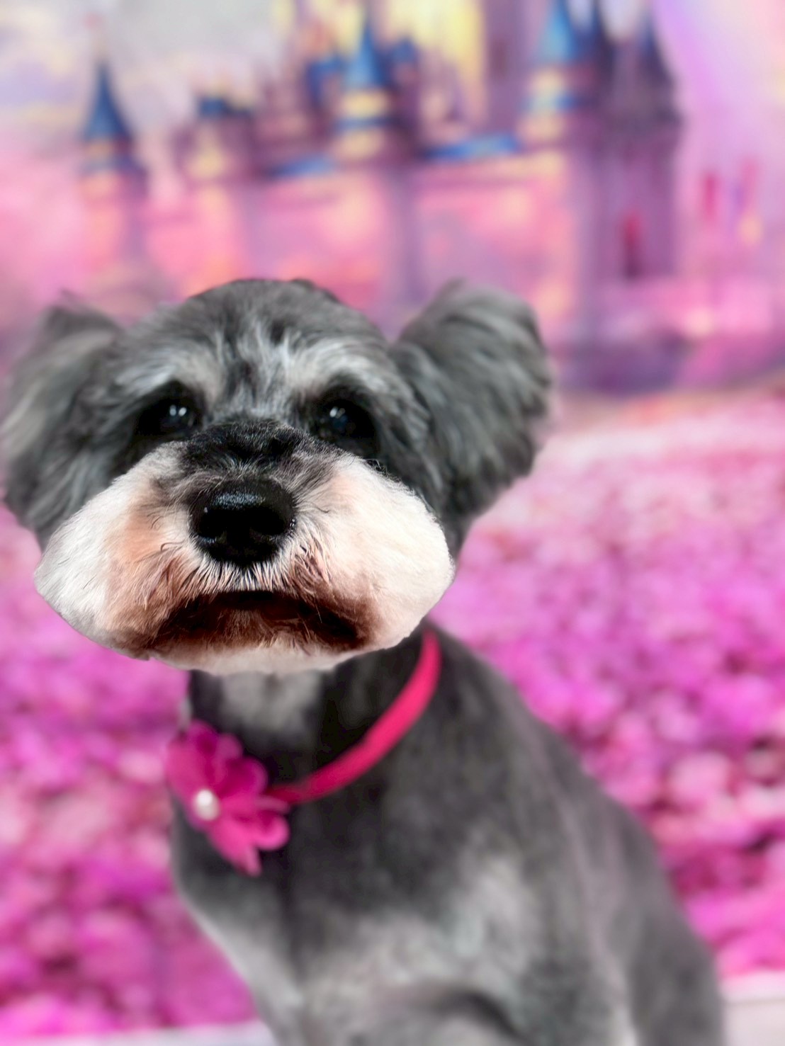 �I���[�W�� �挎�̂��q�l