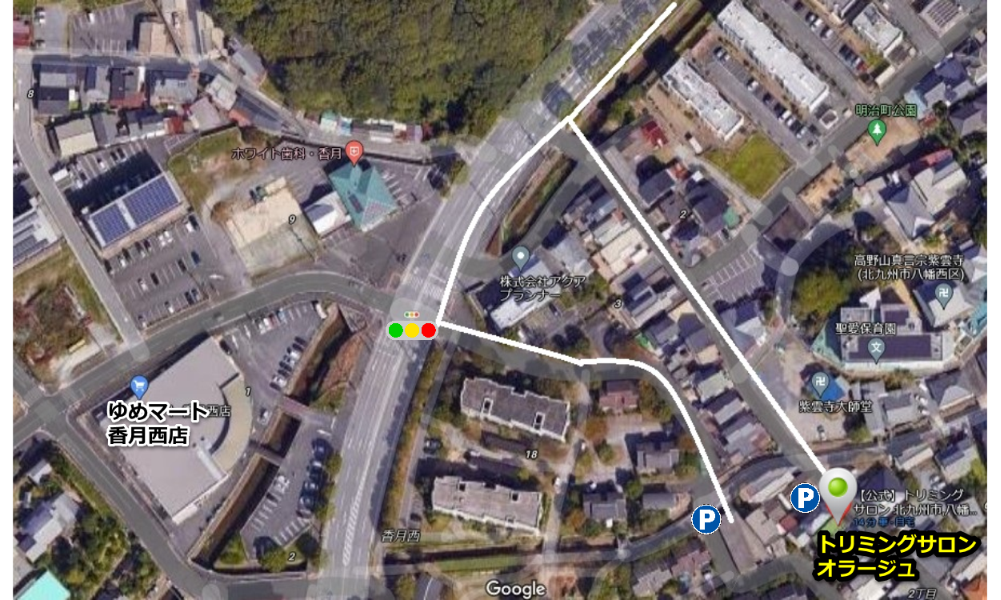 �I���[�W�� ���ԏ�n�}