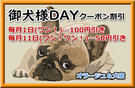 ORAGE / �䌢�lDAY�������T�[�r�X