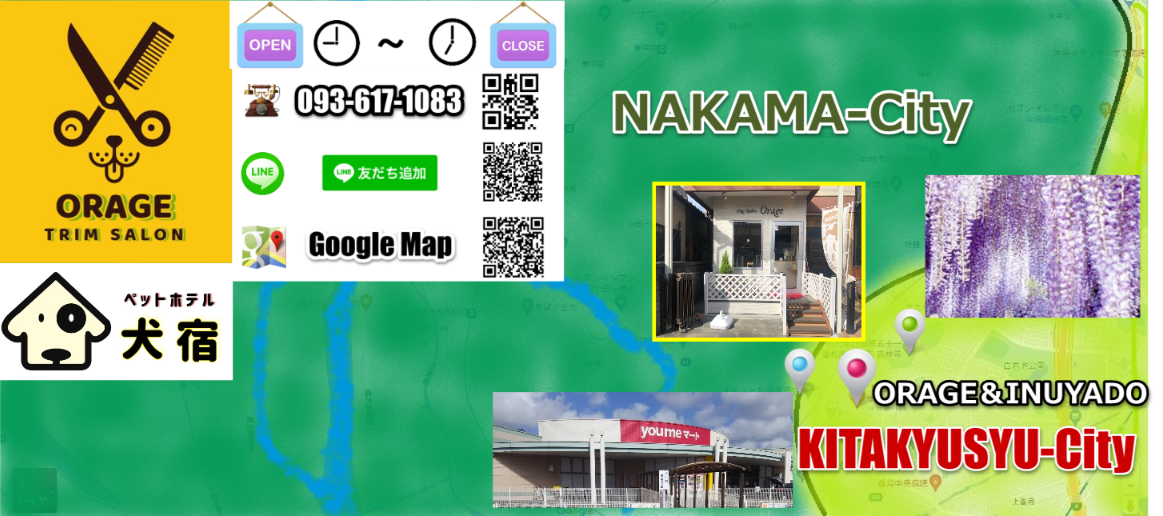 �g���~���O�T���� ��������