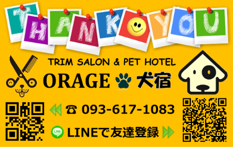 ORAGE �X�^���v