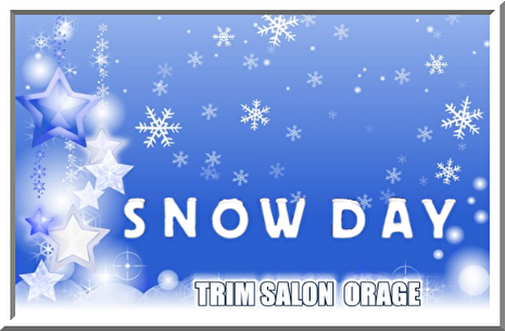 ORAGE / SNOW DAY�������T�[�r�X